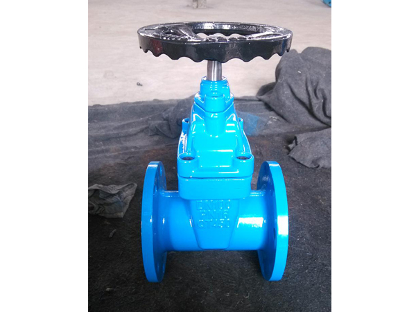 軟密封(feng)閘閥